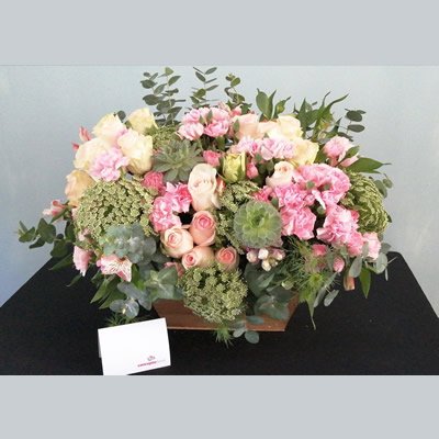 Rosas Andrea